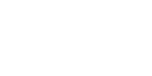 lioncircuits logo